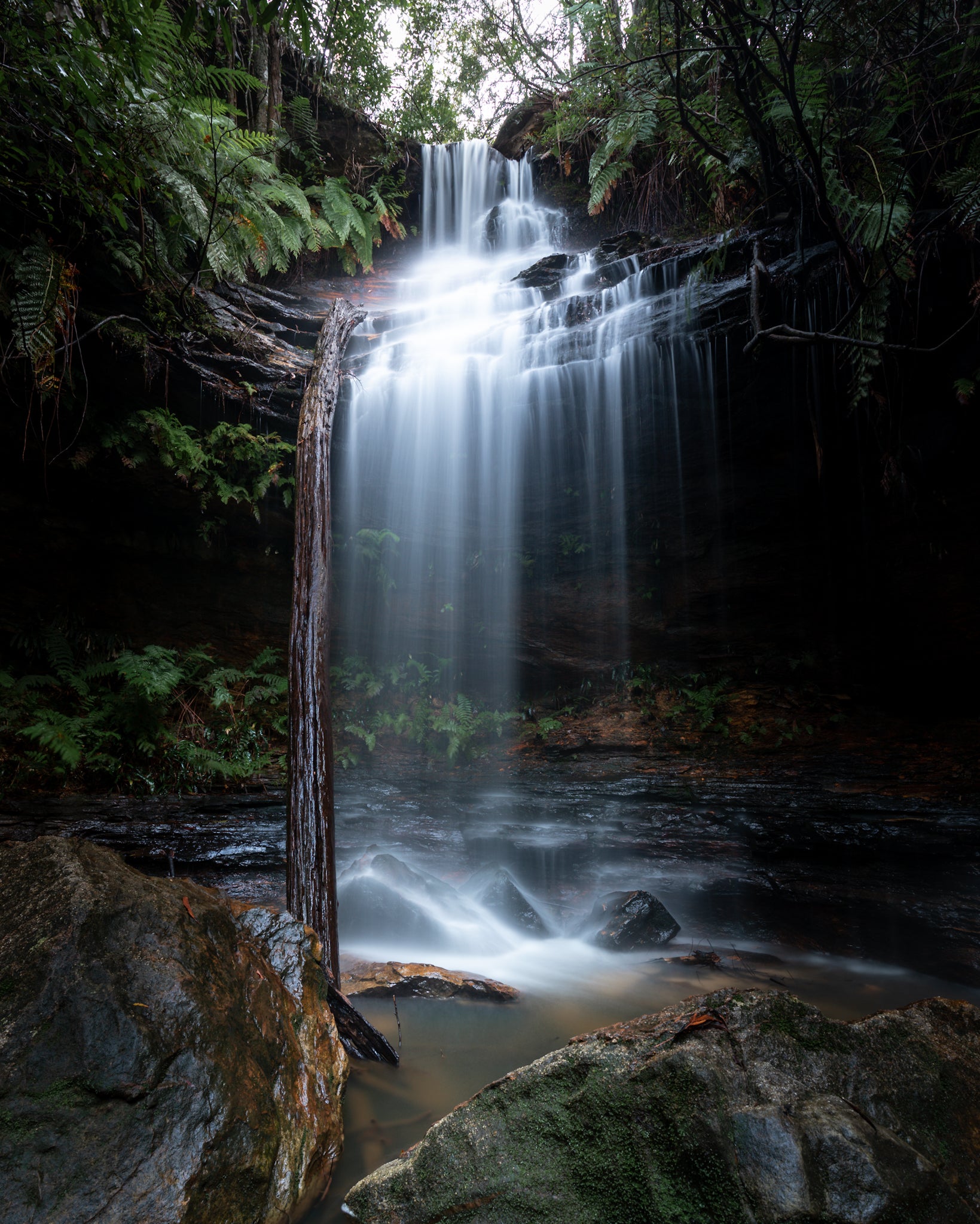 Junction Falls: Veil of the Blue Mountains